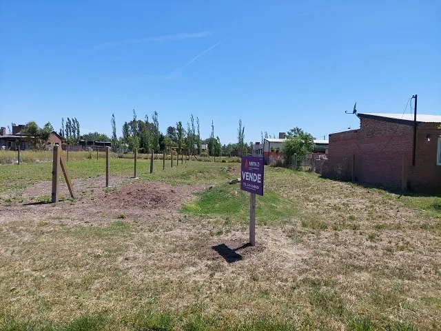 Santa Rita 80